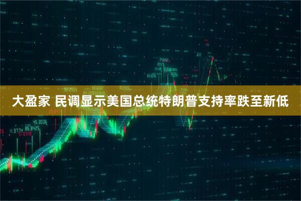 大盈家 民调显示美国总统特朗普支持率跌至新低