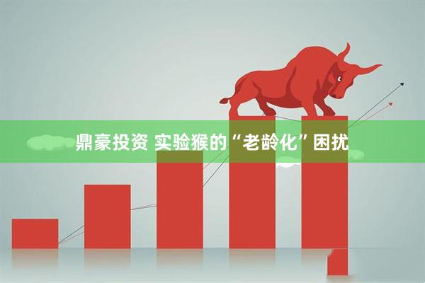 鼎豪投资 实验猴的“老龄化”困扰